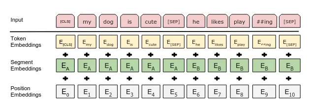 Embedding.webp